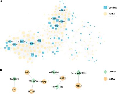 Differential expression and effect analysis of lncRNA-mRNA in congenital pseudarthrosis of the tibia